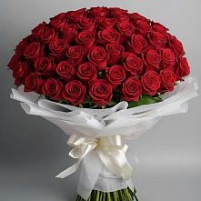 Букет 101 Красная роза Блэк Мэджик в Сергиевский