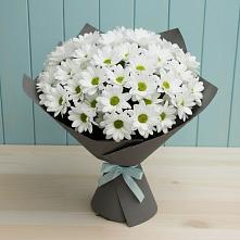 Букет цветов из:  Хризантемы в Сергиевский
