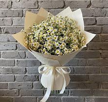 Букет цветов из:  Ромашки в Сергиевский