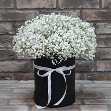 Цветочная композиция из Гипсофила в шляпной коробке в Сергиевский