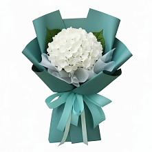 Букет цветов из:  Гортензия в Сергиевский